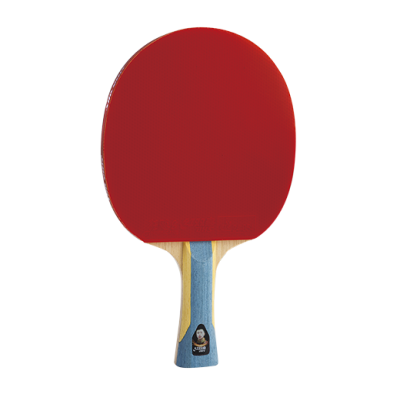 紅雙喜 T6002 六星級 6星 雙面反膠 乒乓球拍 底板