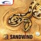 SpinLord Sandwind 防弧 乒乓球 套膠