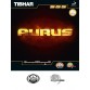TIBHAR Aurus 乒乓球 套膠