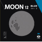 銀河 Yinhe 月球12藍 Moon 12 Blue 乒乓球 套膠